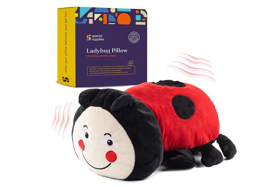 Play with Purpose Toys and Equipment for Children with Cerebral Palsy